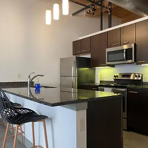 Downtown Loft With Skyline View Apartment